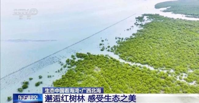 9图看海洋治理的中国方案 美丽海湾建设进展