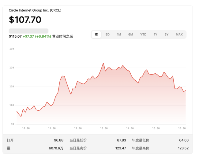 稳定币第一股大涨247% 机构抢筹Circle IPO