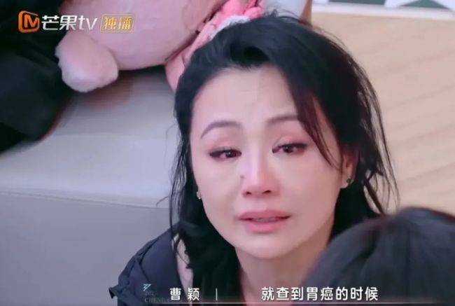 曹穎14歲兒子被贊“最帥星二代” 網(wǎng)友直呼可出道
