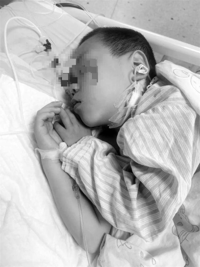 湖南5歲男童誤食毒蘑菇不幸去世 自采蘑菇致全家中毒