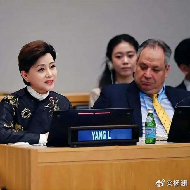 杨澜在联合国文明对话国际日发言！