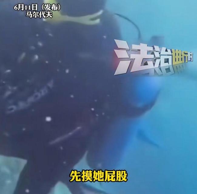 女子在馬爾代夫潛水被教練猥褻 涉事教練已受罰