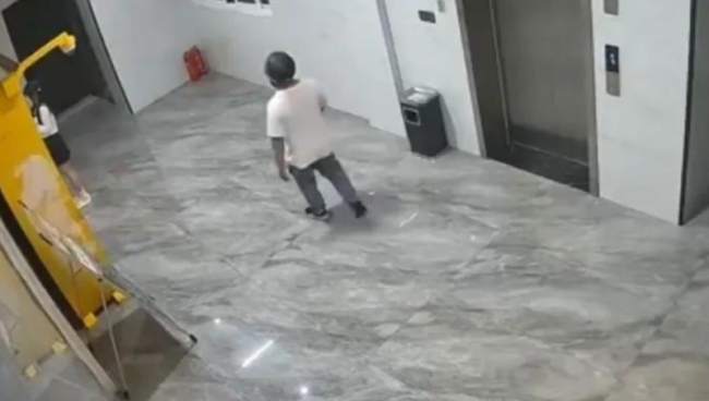 南方小眾蔬菜在北方賣爆了 南菜北進(jìn)趨勢上漲