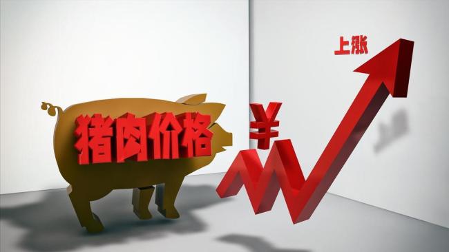 一夜升溫,！豬價(jià)上漲“節(jié)節(jié)高”