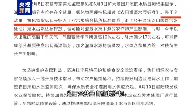 记者追踪安徽蚌埠秧苗成批死亡真相 沟渠水被污染