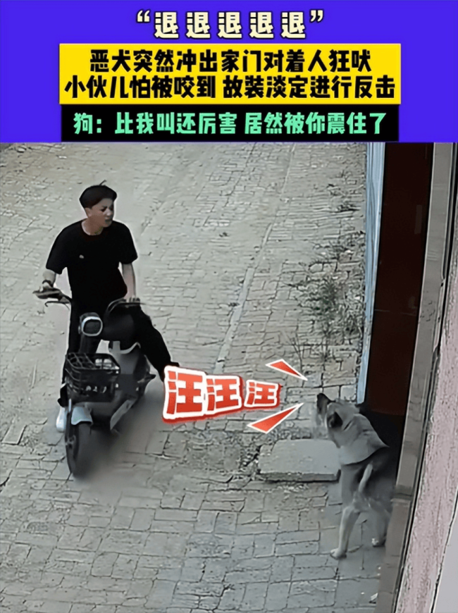 惡犬狂吠小伙大喊退退退 臨危不亂顯神威