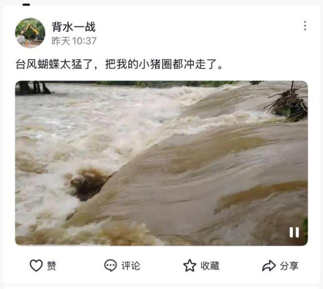 臺風(fēng)“蝴蝶”后 昌江大片蕉林倒伏 多地受災(zāi)嚴(yán)重
