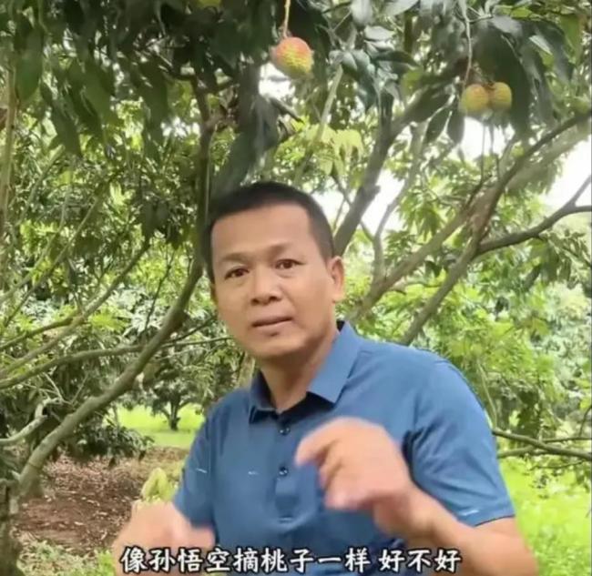 湛江：全紅嬋老家刮臺風(fēng)，百畝果園損失慘重,，全爸：心好痛,、受不了！農(nóng)民看天吃飯?zhí)y
