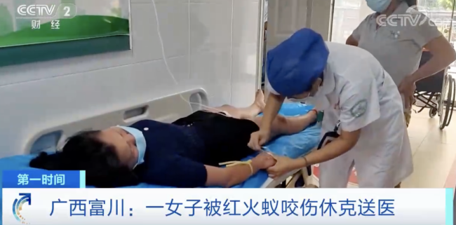 小螞蟻,，大攻擊！被這種螞蟻咬了會(huì)有多難受,？外出活動(dòng)時(shí)如何防范,？