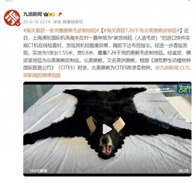 海关查获7.26千克北美黑熊皮地毯 实为濒危物种制品（《动画大放映》 20250
