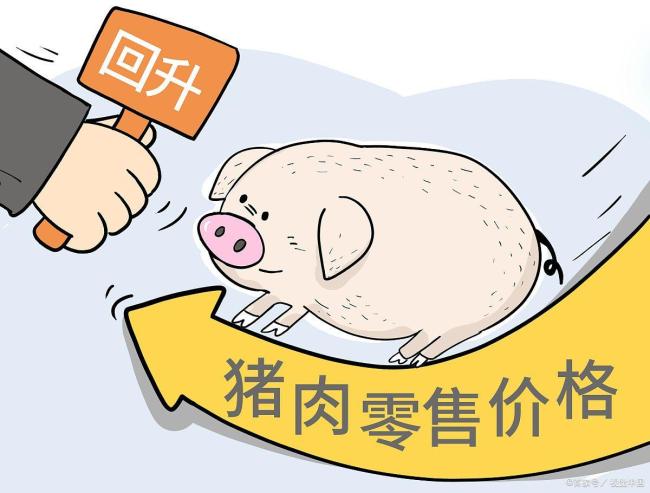 6月17日豬價(jià)上漲原因及后續(xù)走勢(shì)分析 供需博弈推動(dòng)漲價(jià)
