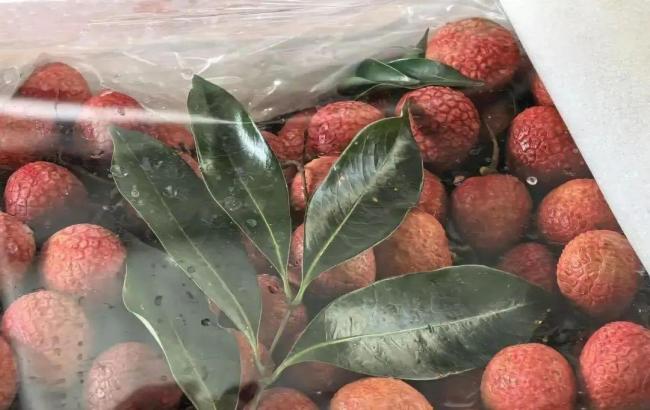 荔枝價格較上市初期暴跌7成 荔枝熱潮下的價格跳水