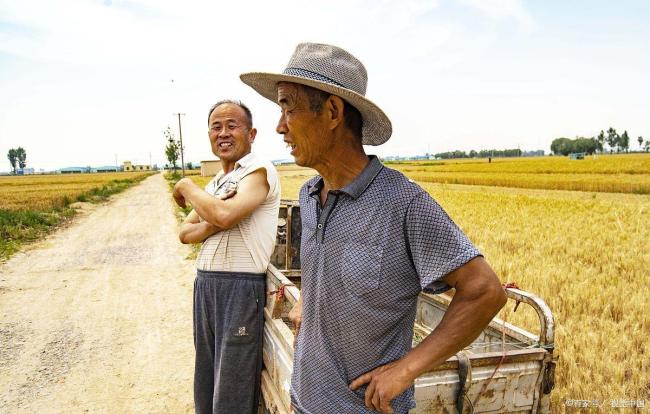 孫子開車3000多里幫爺爺收4畝麥子 跨越千里的深情對話