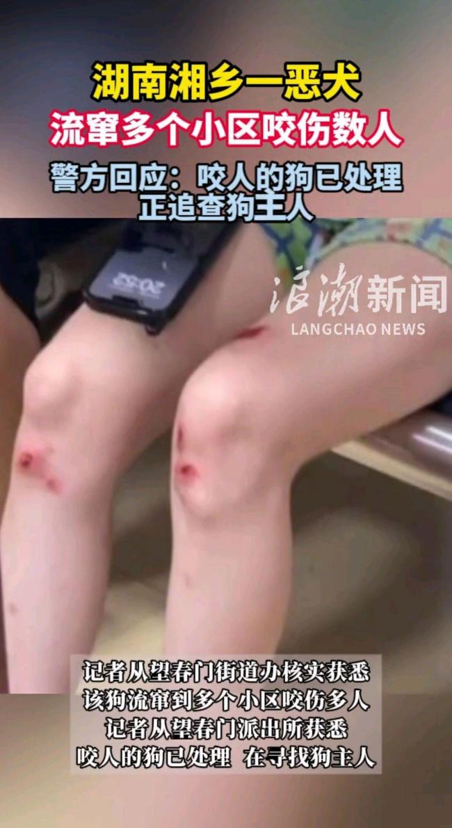 一恶犬流窜多个小区咬伤数人 警方迅速行动成功捕获
