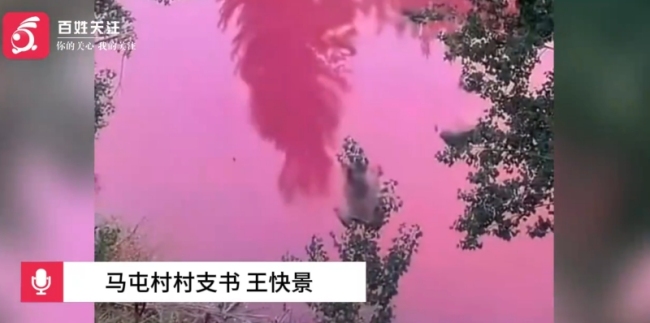 洛陽一村莊突現(xiàn)粉紅色水體疑水污染