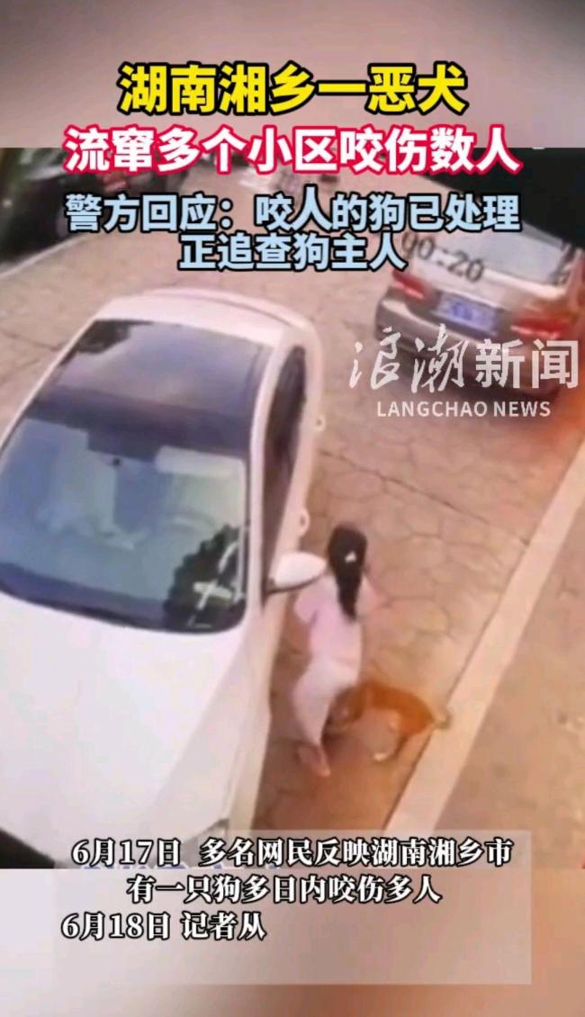 一惡犬流竄多個小區(qū)咬傷數(shù)人 警方迅速行動成功捕獲