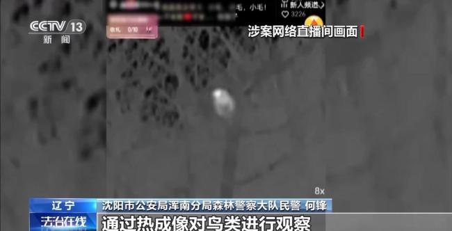 主播直播獵鳥被警方抓獲 非法狩獵鏈條曝光