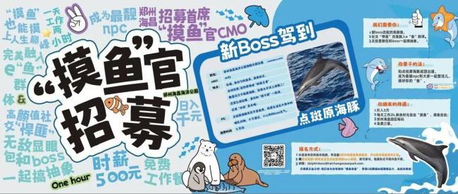 海洋公园招摸鱼官每天工作2小时