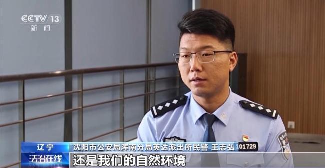 主播直播猎鸟被警方抓获 非法狩猎链条曝光