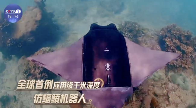 仿生魚已經(jīng)進化到這種程度了嗎