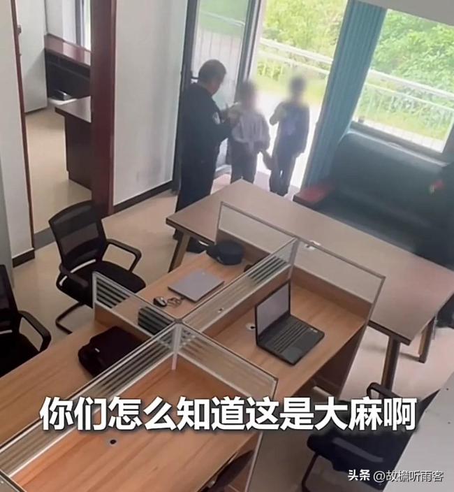 小學(xué)生識別出大麻及時報警,！