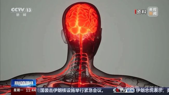 警方抓获贩毒女头目年仅17岁 新型毒品“上头电子烟”案告破