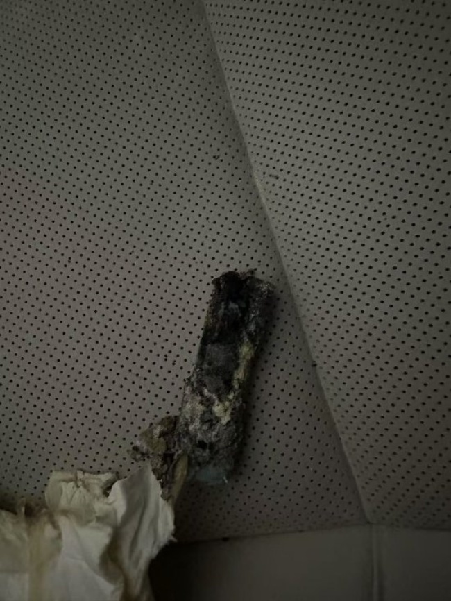 理想MEGA起火事件 原因待查引爭議