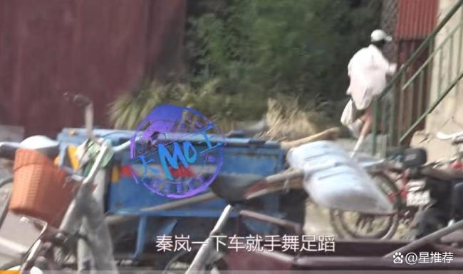 秦岚被拍到与宋佳王伟聚会