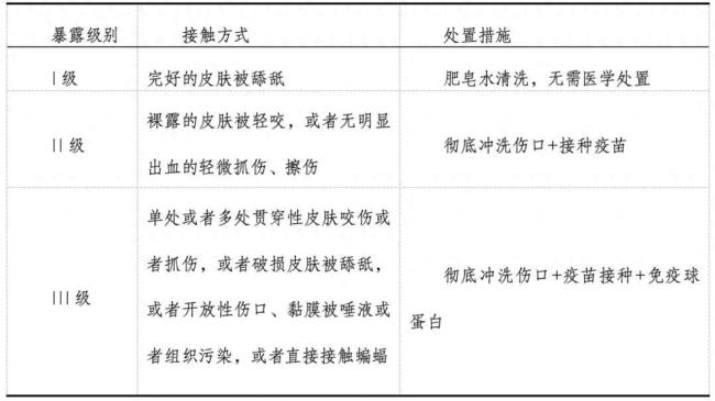 疾控提醒狂犬病病死率几乎为100% 及时处置至关重要