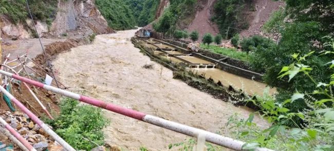 養(yǎng)殖基地遭河水倒灌數(shù)萬斤鱘魚被沖走 損失超百萬