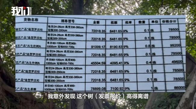 管委會回應(yīng)80萬天價樹供貨價3.8萬 工程賬目存疑待核實
