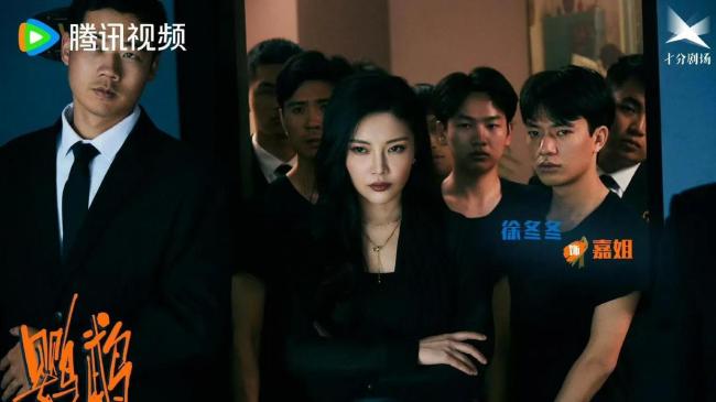 鹦鹉今日开播 鱼贩卧底的蜕变之路