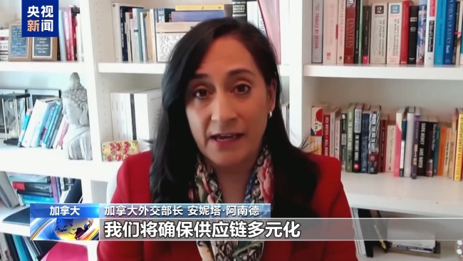 “應減少對美依賴” 加拿大官員呼籲貿易多元化