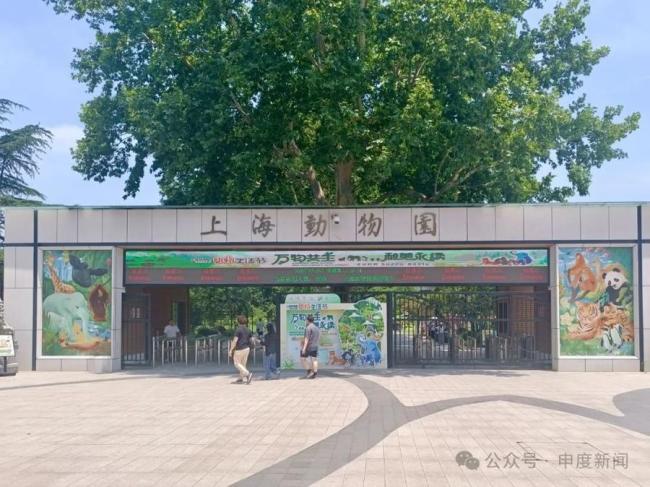 上海动物园建议带娃游客喂完奶再进 母婴室设置引争议
