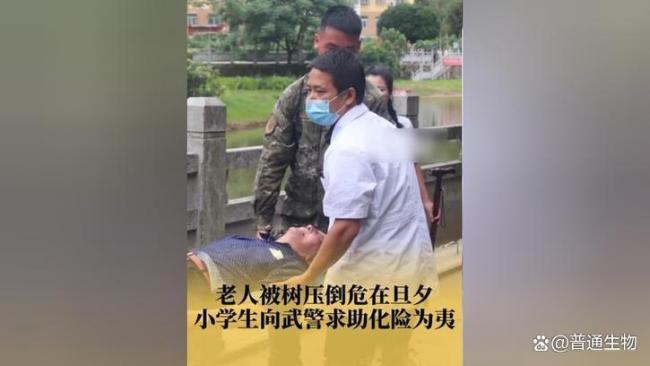 小学生找来武警战士救人后续 小英雄与大爱官兵