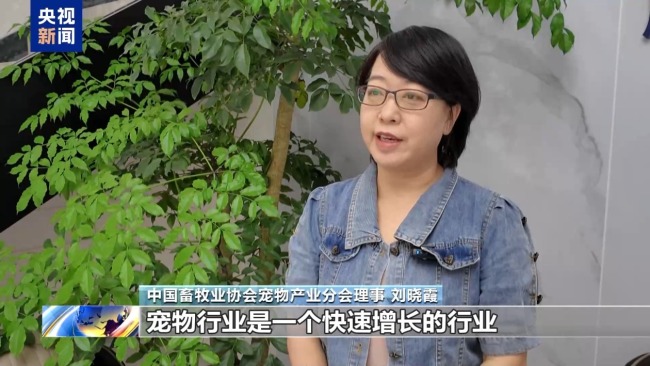 高考志愿新选择 宠物等专业划出“新赛道”
