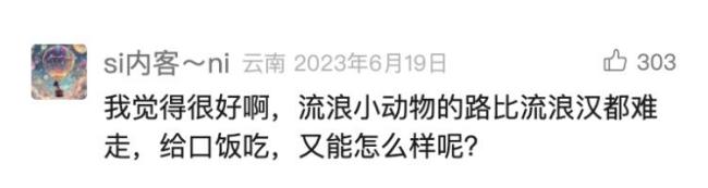 上海很多小区出现了智能猫屋 科学管理引热议