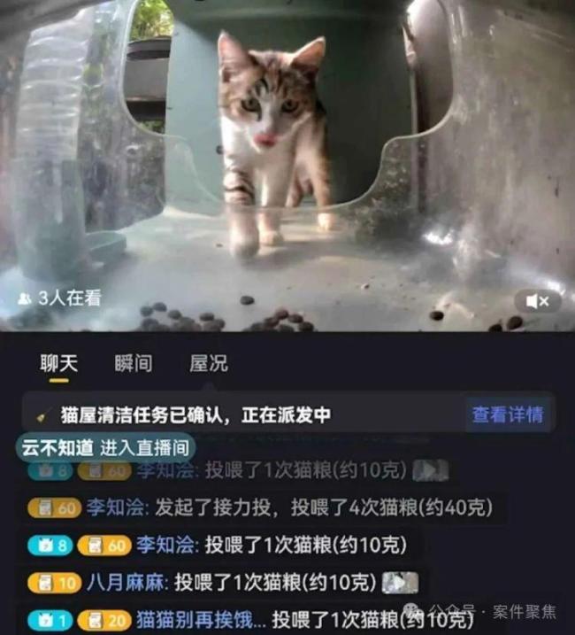上海很多小區(qū)出現(xiàn)了智能貓屋 科學(xué)管理引熱議