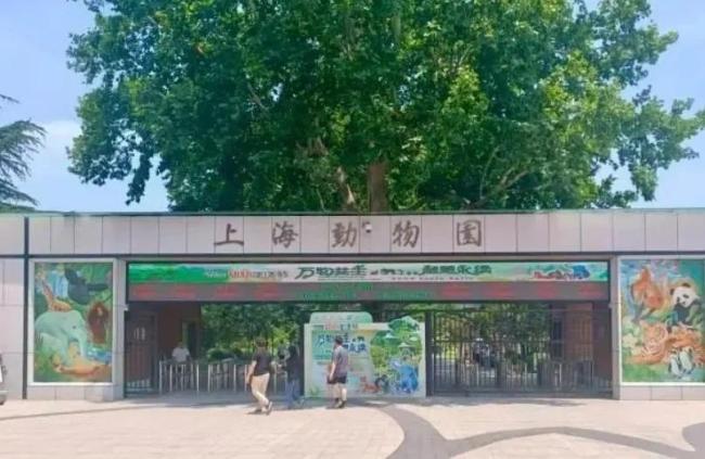 父母喂10月齡嬰兒喝奶瓶被趕,，上海動(dòng)物園道歉