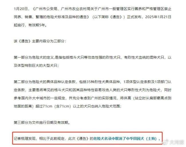 多地解禁中華田園犬 城市文明與鄉(xiāng)土記憶的碰撞