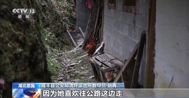 吃野草喝河水苦熬6天 阿尔茨海默病老人深山获救