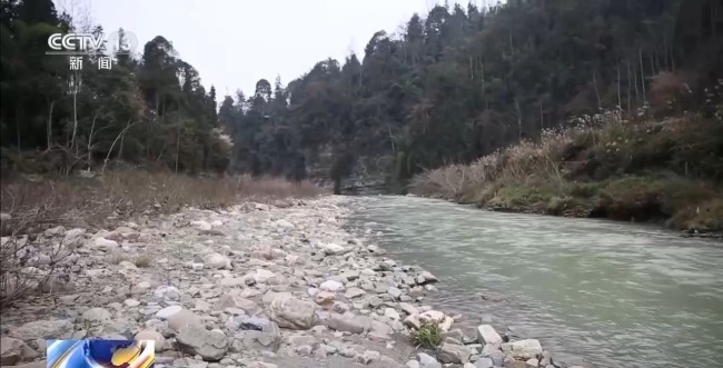 吃野草喝河水苦熬6天 阿尔茨海默病老人深山获救