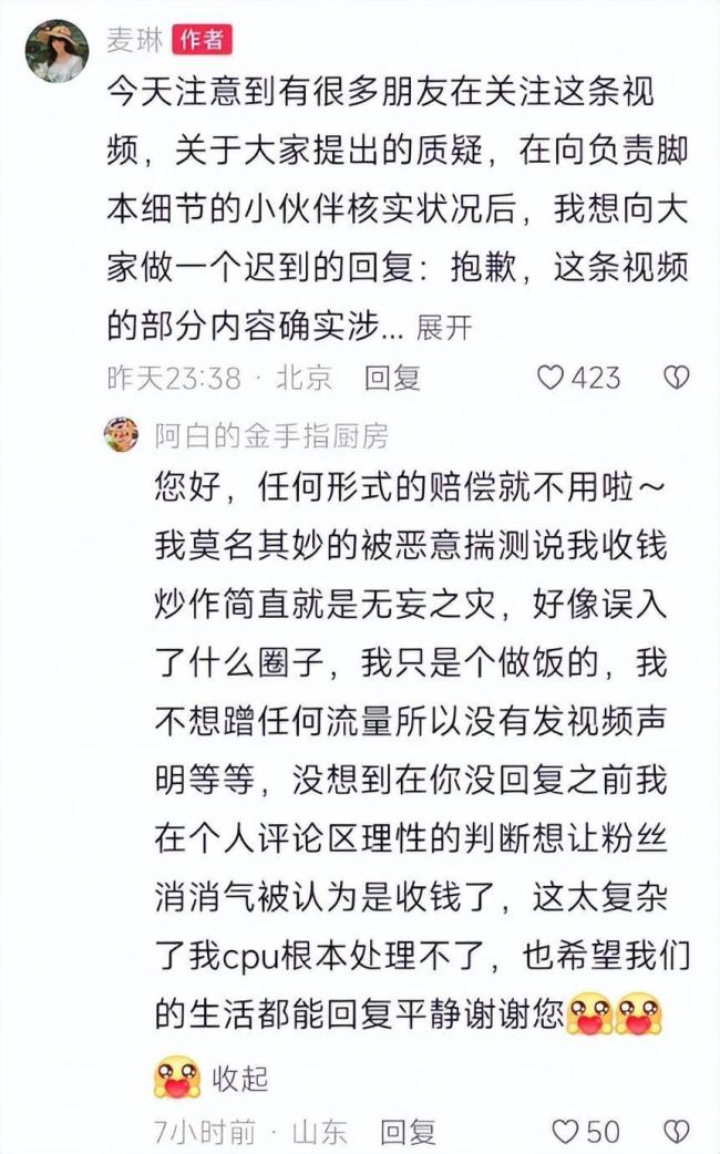 網(wǎng)友質(zhì)疑麥琳短抄襲 道歉并協(xié)商補償