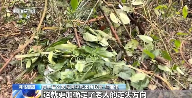 吃野草喝河水苦熬6天 阿爾茨海默病老人深山獲救