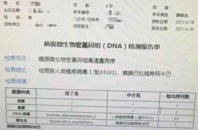 男童高烧不退 张文宏或参与会诊 罕见阿米巴原虫感染引发关注