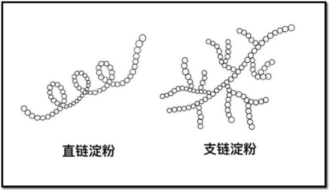 米飯之惑：比“新米陳米”更應關注的是砷,！你知道怎么給米飯解毒嗎,？ 健康干飯的減毒要訣