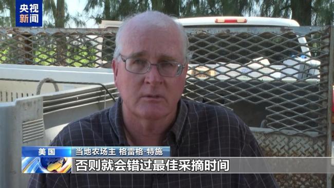 移民监狱鳄鱼恶魔岛隐藏着什么恶魔 特朗普的严打政策引发争议