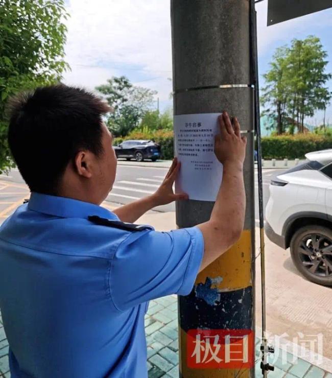 两头耕牛失窃七旬老人含泪报警 民警历时两月寻回
