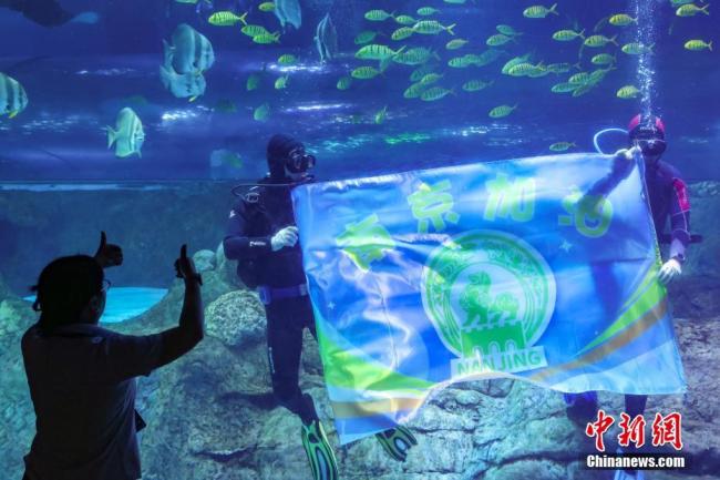 南京海底世界水下拉橫幅為南京助威