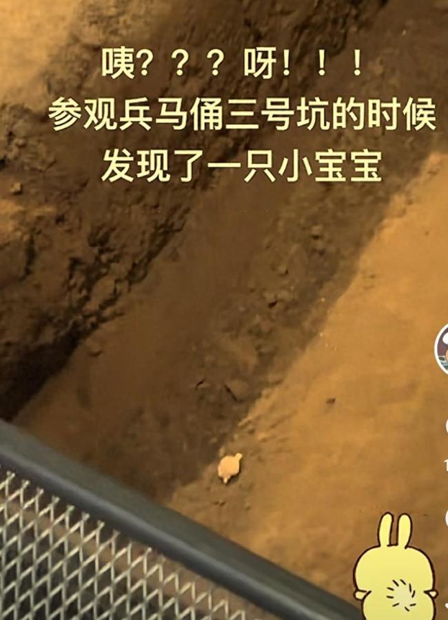 兵馬俑坑咋成“失物招領(lǐng)處”了